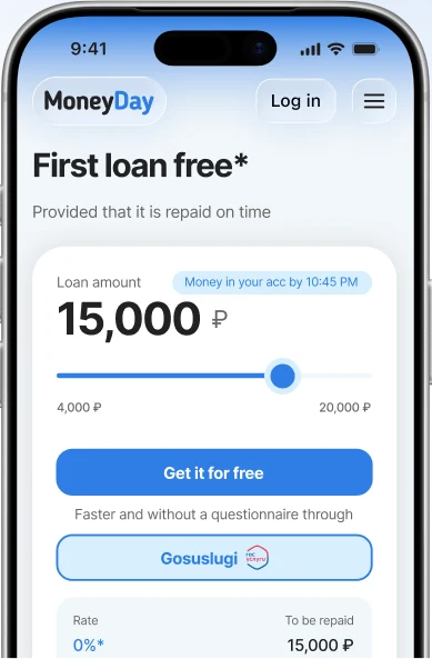 MoneyDay interface